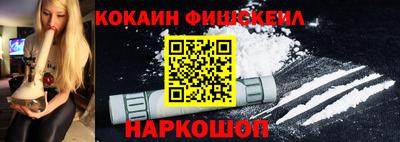 индика Сланцы