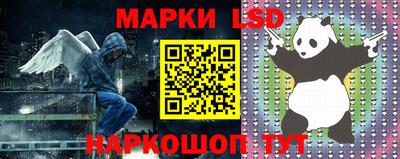 индика Сланцы