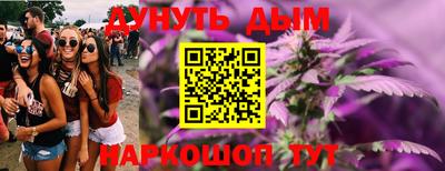 индика Сланцы
