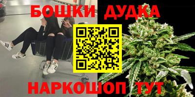spice Славгород