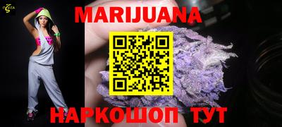 индика Сланцы