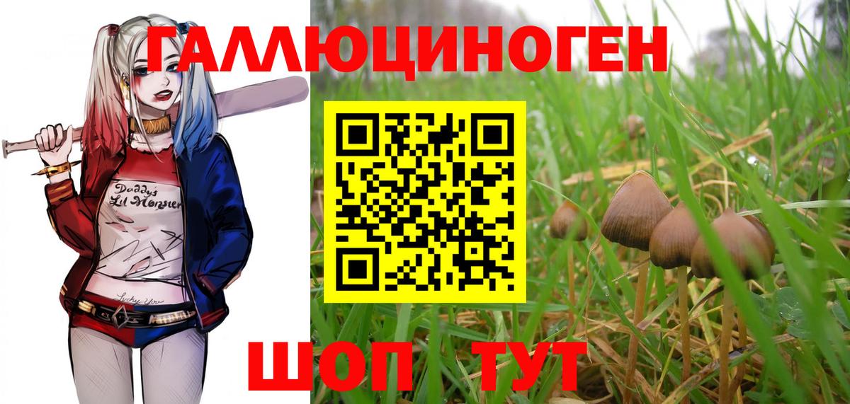 хочу наркоту  Вход с VPN  Малоярославец  Галлюциногенные грибы Psilocybe 